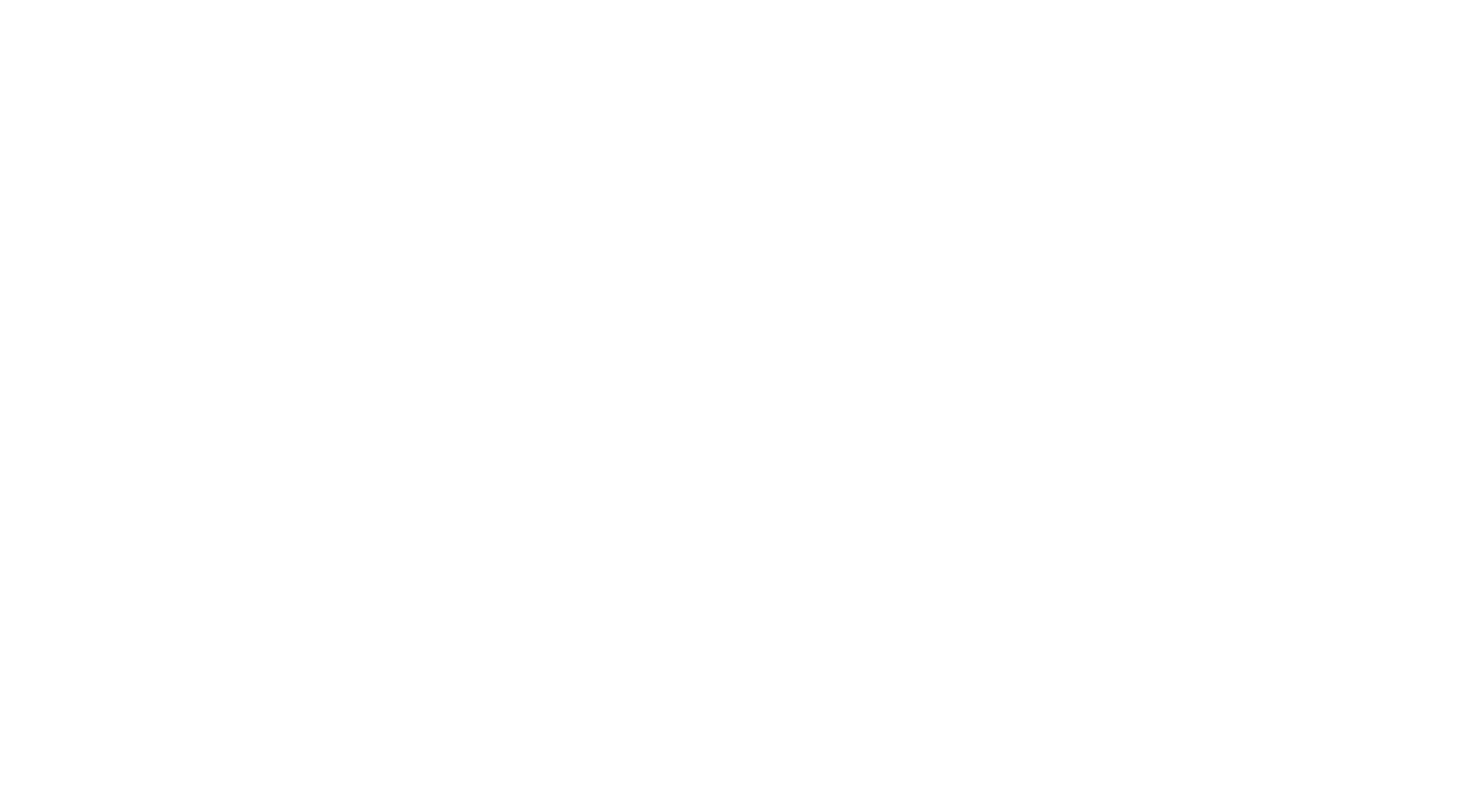 Scriptus Telmo Nunes